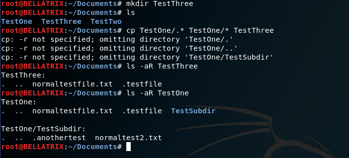 Linux cp, copy hidden and normal files