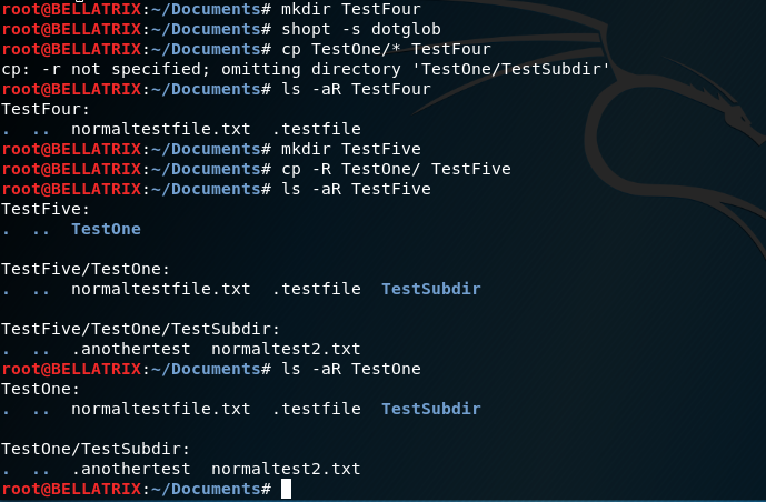 Linux cp using shopt -s dotglob