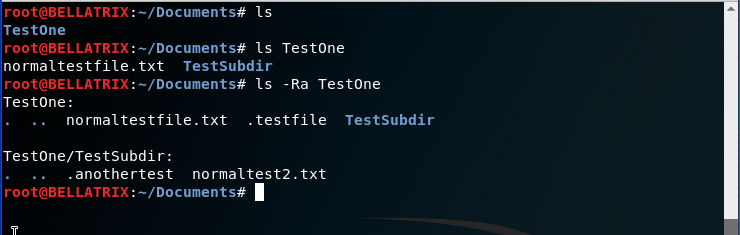 Linux ls command with arguments